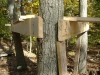 tree fort closeup- wood borrowed